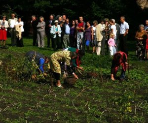 Wykopki w skansenie 2009