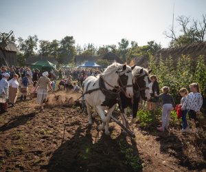 Jesień w polu i zagrodzie - fotorelacja