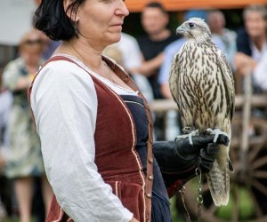 13. Zajazd Wysokomazowiecki - 23 lipca 2023 r. - podsumowanie i fotorelacja 13. Zajazd Wysokomazowiecki - 23 lipca 2023 r. - podsumowanie i fotorelacja