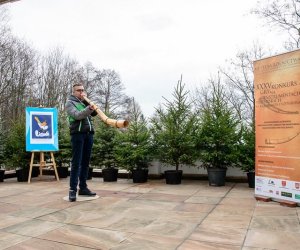 Galeria z 5 grudnia 2015 Galeria z 5 grudnia 2015