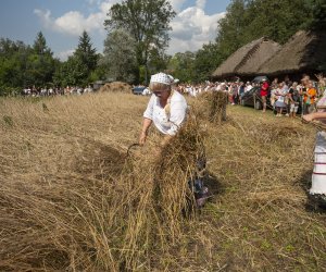 XXIII Podlaskie Święto Chleba - fotorelacja XXIII Podlaskie Święto Chleba - fotorelacja