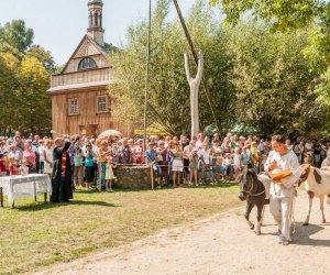 Święto Chleba po raz trzynasty Święto Chleba po raz trzynasty