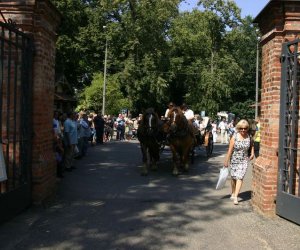 IX Podlaskie Święto Chleba IX Podlaskie Święto Chleba