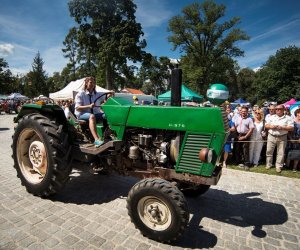 XVIII Podlaskie Święto Chleba - fotorelacja XVIII Podlaskie Święto Chleba - fotorelacja