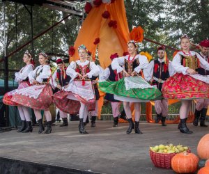 Jesień w Polu i Zagrodzie 2018 - fotorelacja Jesień w Polu i Zagrodzie 2018 - fotorelacja