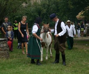 VIII PODLASKIE ŚWIĘTO CHLEBA VIII PODLASKIE ŚWIĘTO CHLEBA