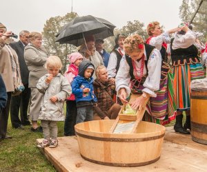 Wykopki w Skansenie 2013 Wykopki w Skansenie 2013