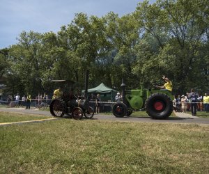 Piknik "Poznaj Zdrową Żywność" - fotorelacja