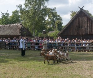 XX Podlaskie Święto Chleba - fotorelacja XX Podlaskie Święto Chleba - fotorelacja