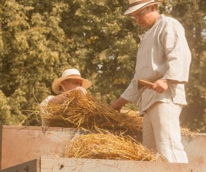 Święto Chleba po raz trzynasty Święto Chleba po raz trzynasty