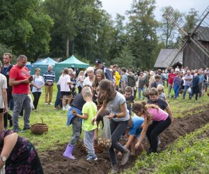Jesień w polu i zagrodzie - fotorelacja - 15 września 2024