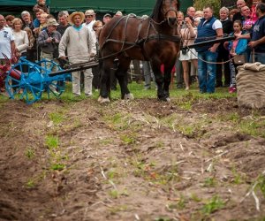 Z Kulturą Ludową Przez Podlasie Z Kulturą Ludową Przez Podlasie