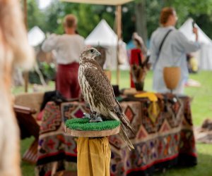 14 Zajazd Wysokomazowiecki - fotorelacja 14 Zajazd Wysokomazowiecki - fotorelacja