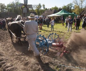 JESIEŃ W POLU I ZAGRODZIE w ramach Europejskich Dni Dziedzictwa 18 września 2016 r. JESIEŃ W POLU I ZAGRODZIE w ramach Europejskich Dni Dziedzictwa 18 września 2016 r.