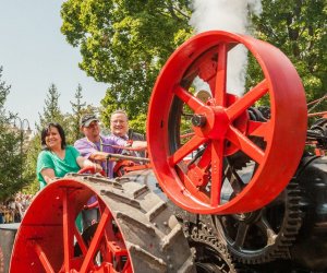 Święto Chleba po raz trzynasty Święto Chleba po raz trzynasty