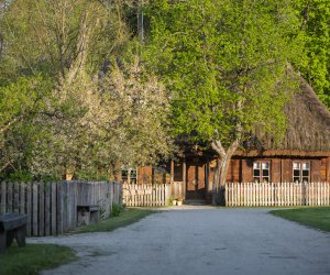 Majówka w Muzeum Majówka w Muzeum