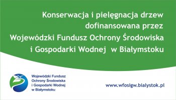 Konserwacja i pielęgnacja drzew fragmentu zabytkowej alei lipowej rosnącej w ciągu ul. Pałacowej oraz wybranych drzew na terenie skansenu Muzeum Rolnictwa im. ks. Krzysztofa Kluka w Ciechanowcu