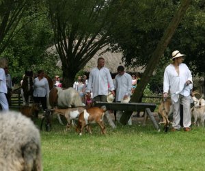 VII PODLASKIE ŚWIĘTO CHLEBA VII PODLASKIE ŚWIĘTO CHLEBA