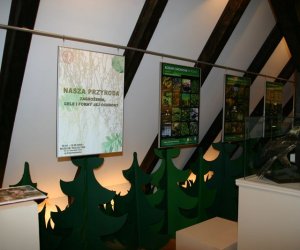 Nasza przyroda, Zagrożenia, cele i formy jej ochrony Nasza przyroda, Zagrożenia, cele i formy jej ochrony