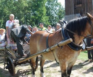 IX Podlaskie Święto Chleba IX Podlaskie Święto Chleba