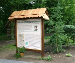 Rośliny lecznicze w kulturze, nauce i sztuce, Rośliny lecznicze w kulturze, nauce i sztuce,