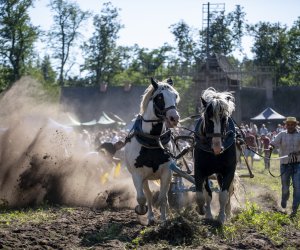 "Z kulturą ludową przez Podlasie" - fotorelacja "Z kulturą ludową przez Podlasie" - fotorelacja