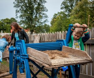Jesień w polu i zagrodzie Jesień w polu i zagrodzie