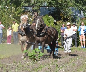 JESIEŃ W POLU I ZAGRODZIE w ramach Europejskich Dni Dziedzictwa 18 września 2016 r. JESIEŃ W POLU I ZAGRODZIE w ramach Europejskich Dni Dziedzictwa 18 września 2016 r.