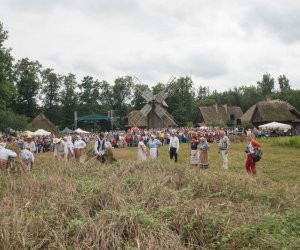 XVII Podlaskie Święto Chleba - fotorelacja XVII Podlaskie Święto Chleba - fotorelacja