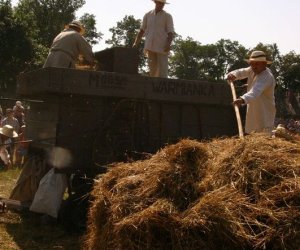 IX Podlaskie Święto Chleba IX Podlaskie Święto Chleba