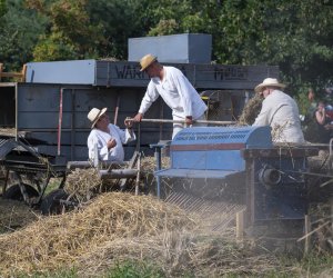 XXII Podlaskie Święto Chleba - fotorelacja XXII Podlaskie Święto Chleba - fotorelacja