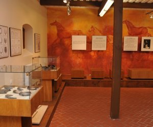 Odnowiona ekspozycja Muzeum Weterynarii Odnowiona ekspozycja Muzeum Weterynarii