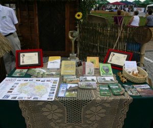 Urodzinowy Mistrz Smaku 2006 r Urodzinowy Mistrz Smaku 2006 r