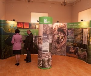 Jarmark Św. Wojciecha i Festyn Leśny 2014 Jarmark Św. Wojciecha i Festyn Leśny 2014