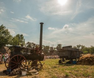 Święto Chleba po raz trzynasty Święto Chleba po raz trzynasty