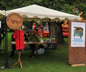 Wykopki w Skansenie Wykopki w Skansenie