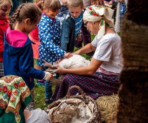 Jesień w polu i zagrodzie Jesień w polu i zagrodzie