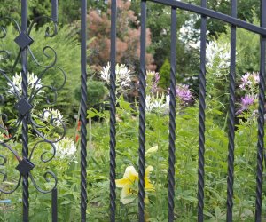 "Kwitnące Tradycje" "Kwitnące Tradycje"