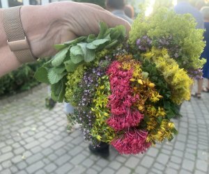 NIECOdziennik Muzealny - Żywa tradycja NIECOdziennik Muzealny - Żywa tradycja