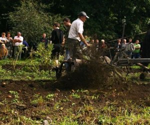 Wykopki w skansenie 2009