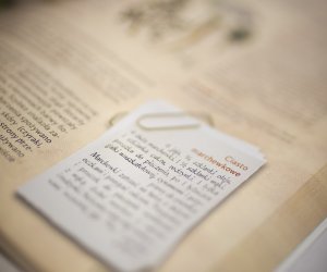 Zażycie Roślin Lekarskie, czyli wiadomość dla miłośników tradycyjnego ziołolecznictwa Zażycie Roślin Lekarskie, czyli wiadomość dla miłośników tradycyjnego ziołolecznictwa