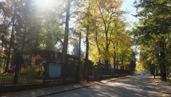 Pielęgnacja i konserwacja drzew zabytkowej alei lipowej na terenie skansenu Muzeum Rolnictwa im. Ks. Krzysztofa Kluka w Ciechanowcu