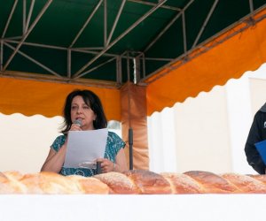 XVII Podlaskie Święto Chleba - fotorelacja XVII Podlaskie Święto Chleba - fotorelacja
