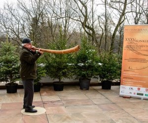 Galeria z 5 grudnia 2015 Galeria z 5 grudnia 2015