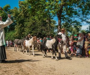 XV Podlaskie Święta Chleba w Muzeum Rolnictwa im. ks. Krzysztofa Kluka w Ciechanowcu XV Podlaskie Święta Chleba w Muzeum Rolnictwa im. ks. Krzysztofa Kluka w Ciechanowcu