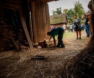 Jesień w polu i zagrodzie Jesień w polu i zagrodzie