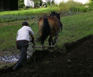 Wykopki w skansenie 2009