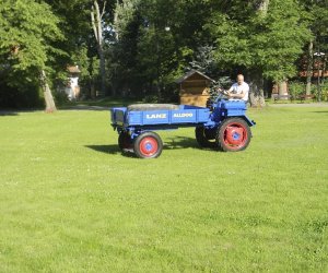 Wyglądają przepięknie Wyglądają przepięknie