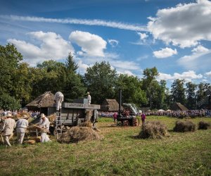 XVIII Podlaskie Święto Chleba - fotorelacja XVIII Podlaskie Święto Chleba - fotorelacja