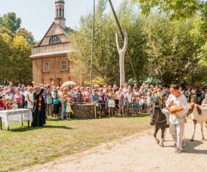 Święto Chleba po raz trzynasty Święto Chleba po raz trzynasty